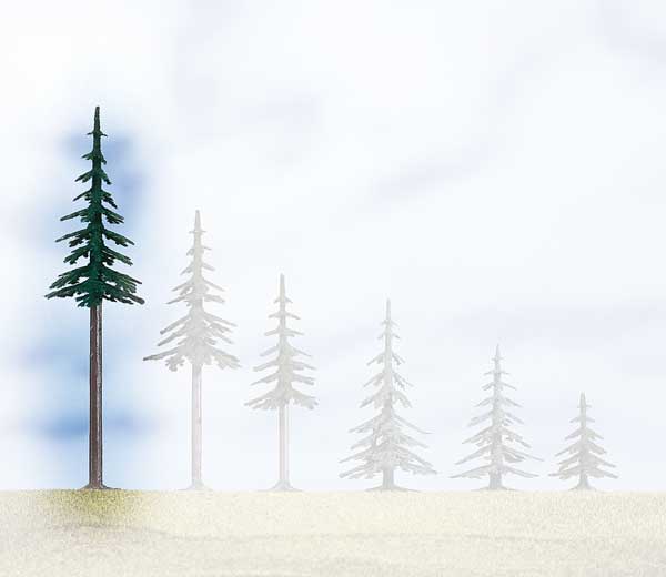 Evergreen tall - 19 cm<br /><a href='images/pictures/Auhagen/71935.jpg' target='_blank'>Full size image</a>